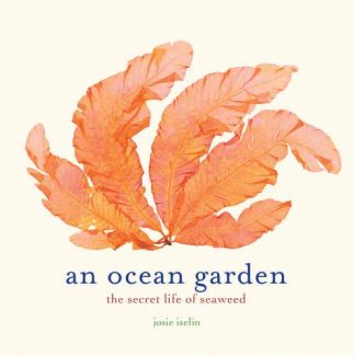 An Ocean Garden: The Secret Life Of Seaweed