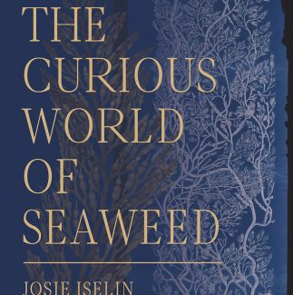 The Curious World Of Seaweed