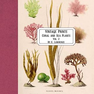 Vintage Prints: Coral And Sea Plants: Vol.2